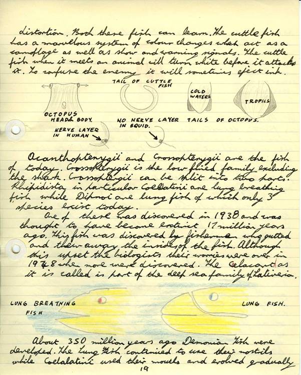 Images_Ed_1965_Shell_Plymouth_Aquarium_Notes/image278.jpg