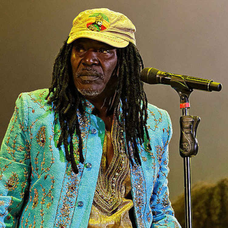 Images_Music/WC_Music_14_Africa_Pop_Thesupermat_Alpha_Blondy_2014.jpg
