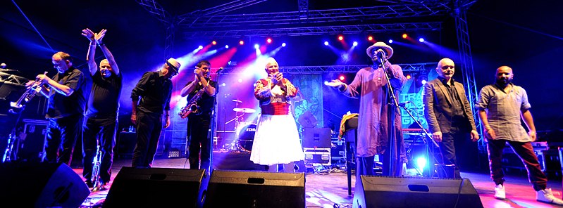 Images_Music/WC_Music_15_EU_Trad_Rs_foto_Transglobal_Underground_2015.jpg