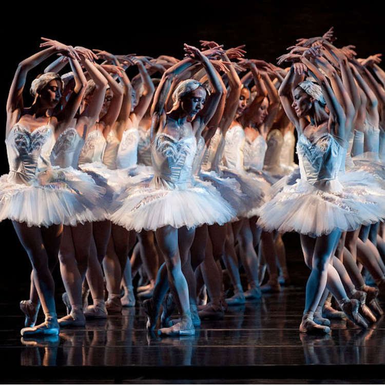 Images_Music/WC_Music_1_Ballet_Swan_Lake_2009_Photog_Peter_Mueller.jpg