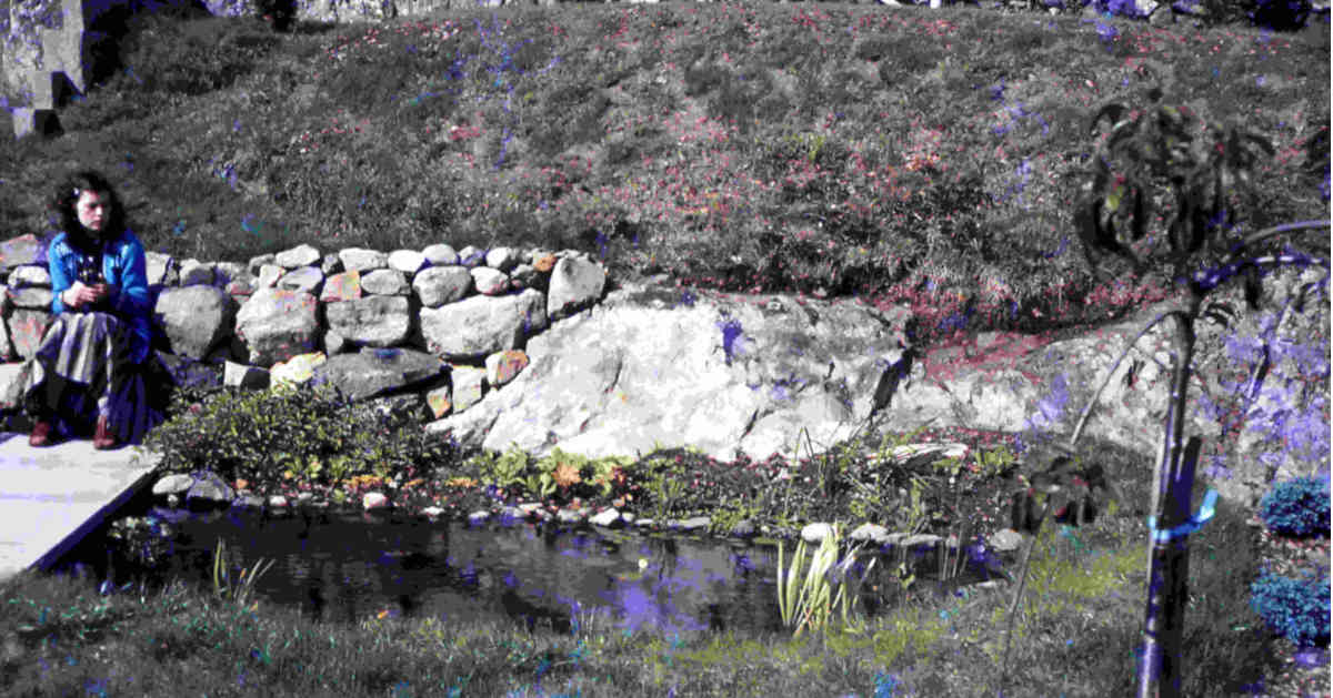 Story_2_Gwalchmai_SunnyDale_Karen_Sitting_By_My_Fish_Pond.jpg